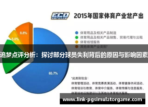 追梦点评分析：探讨部分球员失利背后的原因与影响因素