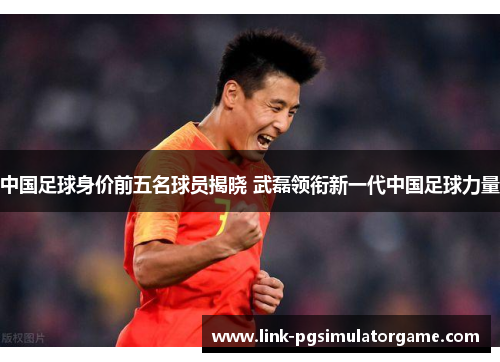 中国足球身价前五名球员揭晓 武磊领衔新一代中国足球力量