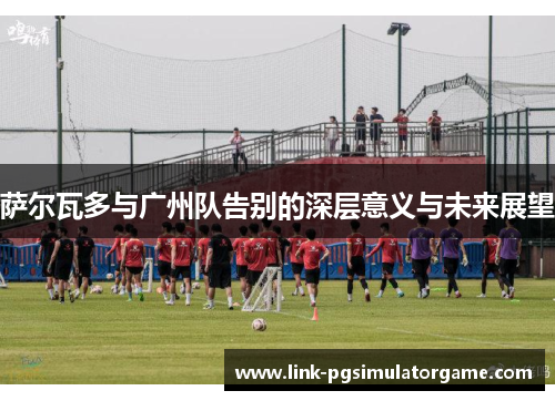 萨尔瓦多与广州队告别的深层意义与未来展望