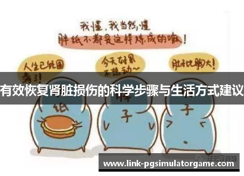 有效恢复肾脏损伤的科学步骤与生活方式建议