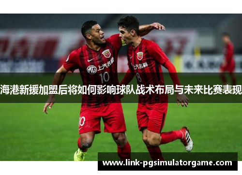 海港新援加盟后将如何影响球队战术布局与未来比赛表现