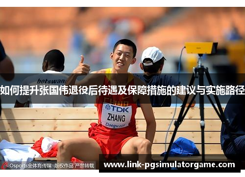 如何提升张国伟退役后待遇及保障措施的建议与实施路径