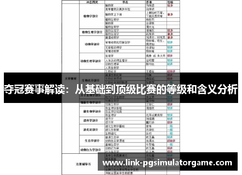 夺冠赛事解读：从基础到顶级比赛的等级和含义分析