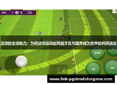 足球的全球魅力：为何这项运动能跨越文化与国界成为世界的共同语言