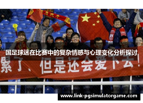国足球迷在比赛中的复杂情感与心理变化分析探讨