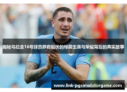 揭秘乌拉圭16号球员跌宕起伏的绿茵生涯与荣耀背后的真实故事