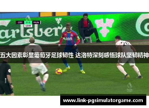 五大因素彰显葡萄牙足球韧性 达洛特深刻感悟球队坚韧精神