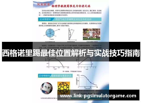 西格诺里踢最佳位置解析与实战技巧指南
