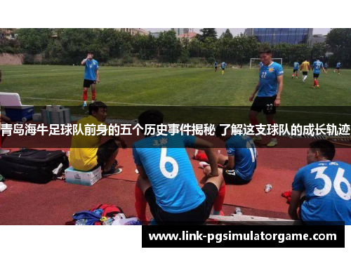 青岛海牛足球队前身的五个历史事件揭秘 了解这支球队的成长轨迹