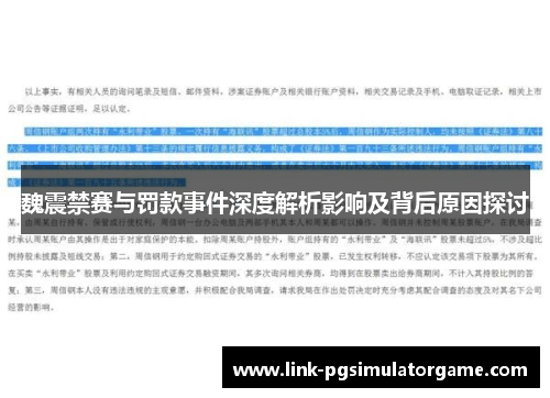 魏震禁赛与罚款事件深度解析影响及背后原因探讨