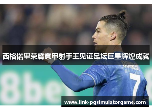 西格诺里荣膺意甲射手王见证足坛巨星辉煌成就