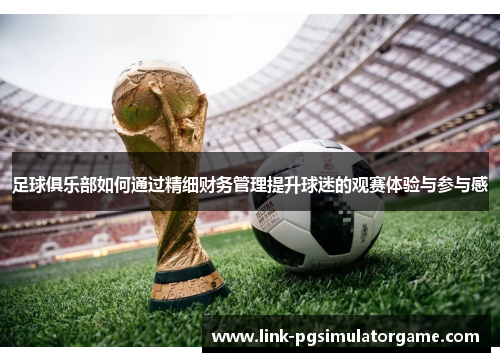 足球俱乐部如何通过精细财务管理提升球迷的观赛体验与参与感 足球俱乐部如何通过精细财务管理提升球迷的观赛体验与参与感