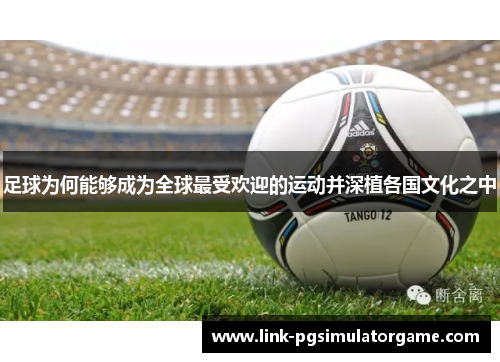 足球为何能够成为全球最受欢迎的运动并深植各国文化之中