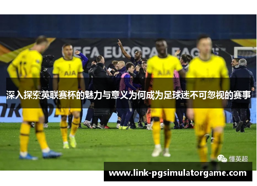 深入探索英联赛杯的魅力与意义为何成为足球迷不可忽视的赛事 深入探索英联赛杯的魅力与意义为何成为足球迷不可忽视的赛事