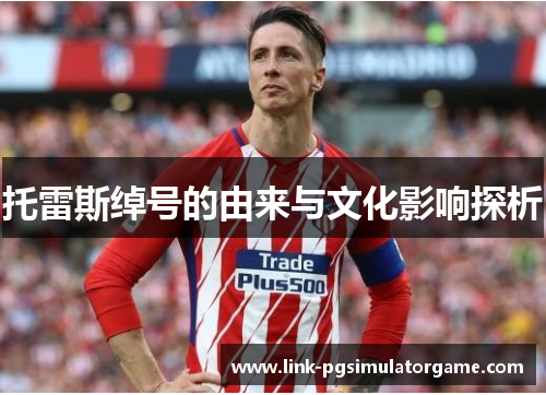 托雷斯绰号的由来与文化影响探析 托雷斯绰号的由来与文化影响探析