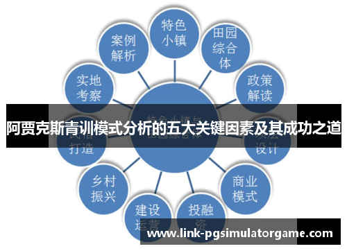 阿贾克斯青训模式分析的五大关键因素及其成功之道 阿贾克斯青训模式分析的五大关键因素及其成功之道