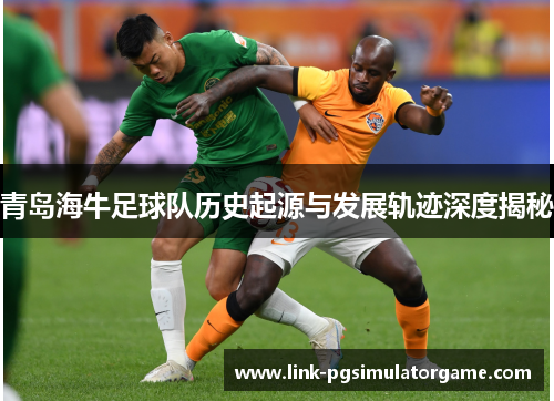 青岛海牛足球队历史起源与发展轨迹深度揭秘