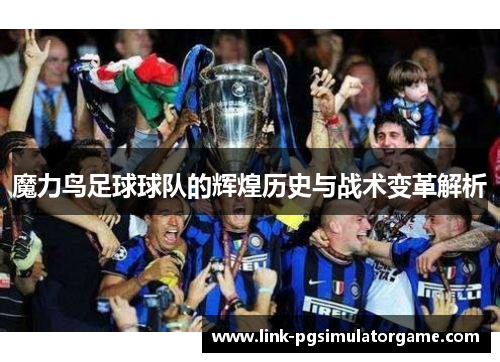 魔力鸟足球球队的辉煌历史与战术变革解析