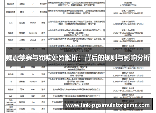 魏震禁赛与罚款处罚解析：背后的规则与影响分析