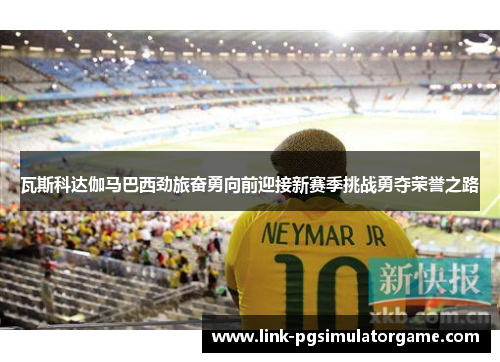 瓦斯科达伽马巴西劲旅奋勇向前迎接新赛季挑战勇夺荣誉之路