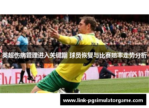 英超伤病管理进入关键期 球员恢复与比赛赔率走势分析