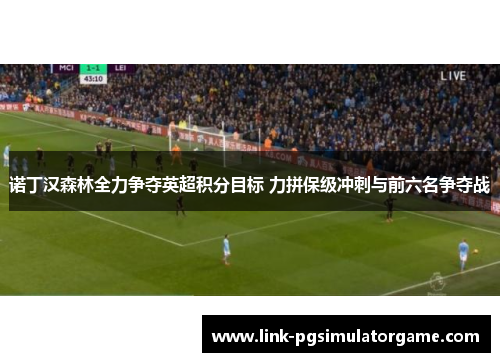 诺丁汉森林全力争夺英超积分目标 力拼保级冲刺与前六名争夺战
