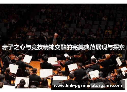 赤子之心与竞技精神交融的完美典范展现与探索