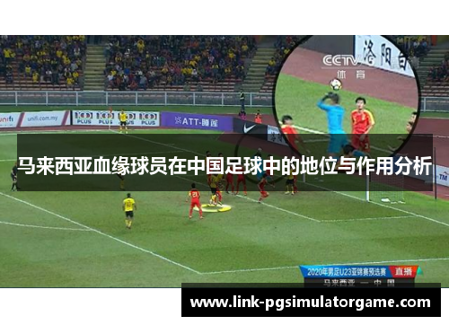 马来西亚血缘球员在中国足球中的地位与作用分析