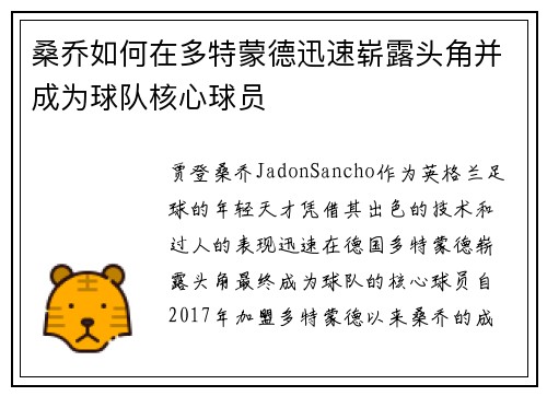 桑乔如何在多特蒙德迅速崭露头角并成为球队核心球员